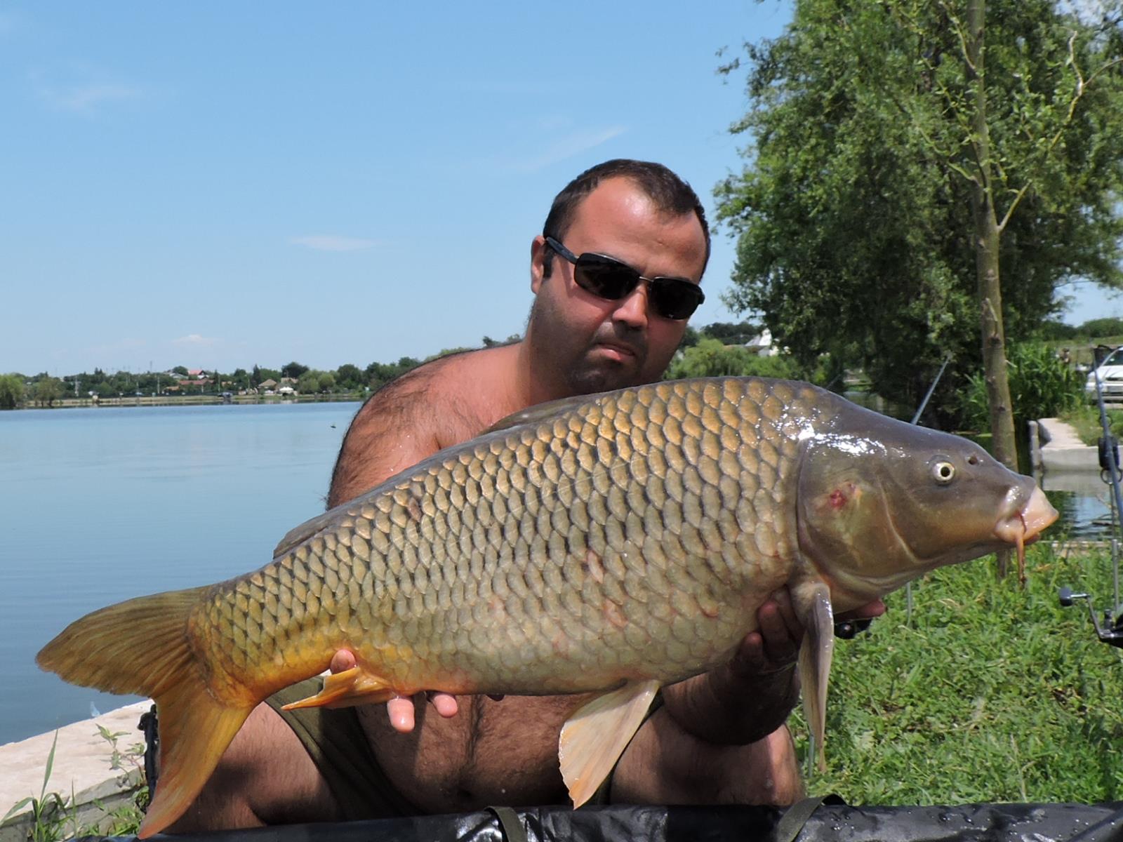 My Passion - rscn2711---copie.JPG